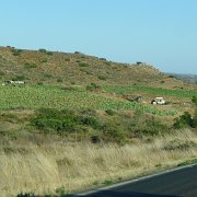 Santo Tomas valley : Baja2011